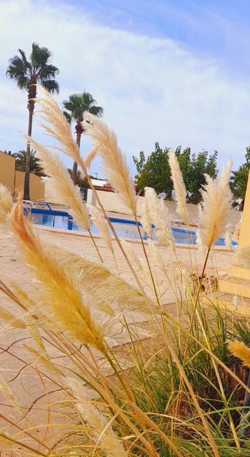 칼라엔블레인즈 Apartamento Con Piscina En Ciudadela, Cala En Blanes 아파트 외부 사진